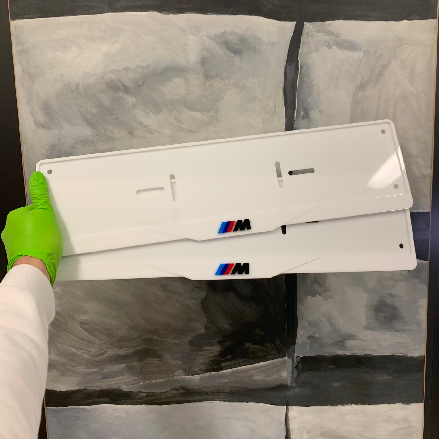 LOGO BMW - CORNICE TARGA COLORATA